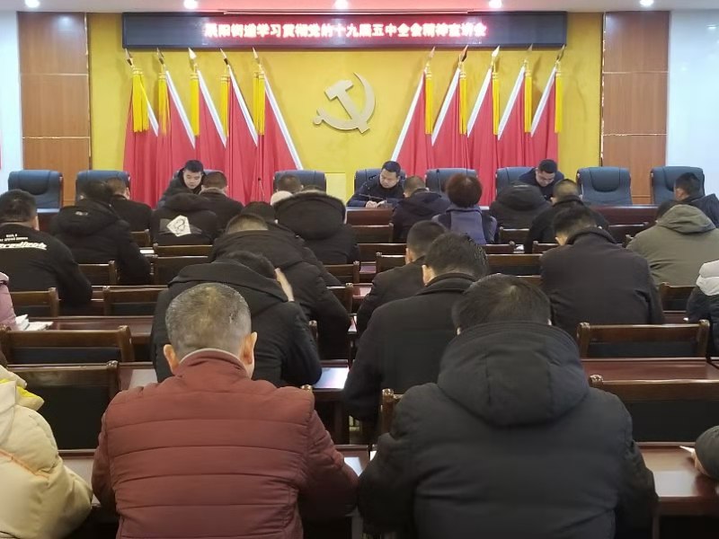 辰阳街道召开学习贯彻党的十九届五中全会精神宣讲会