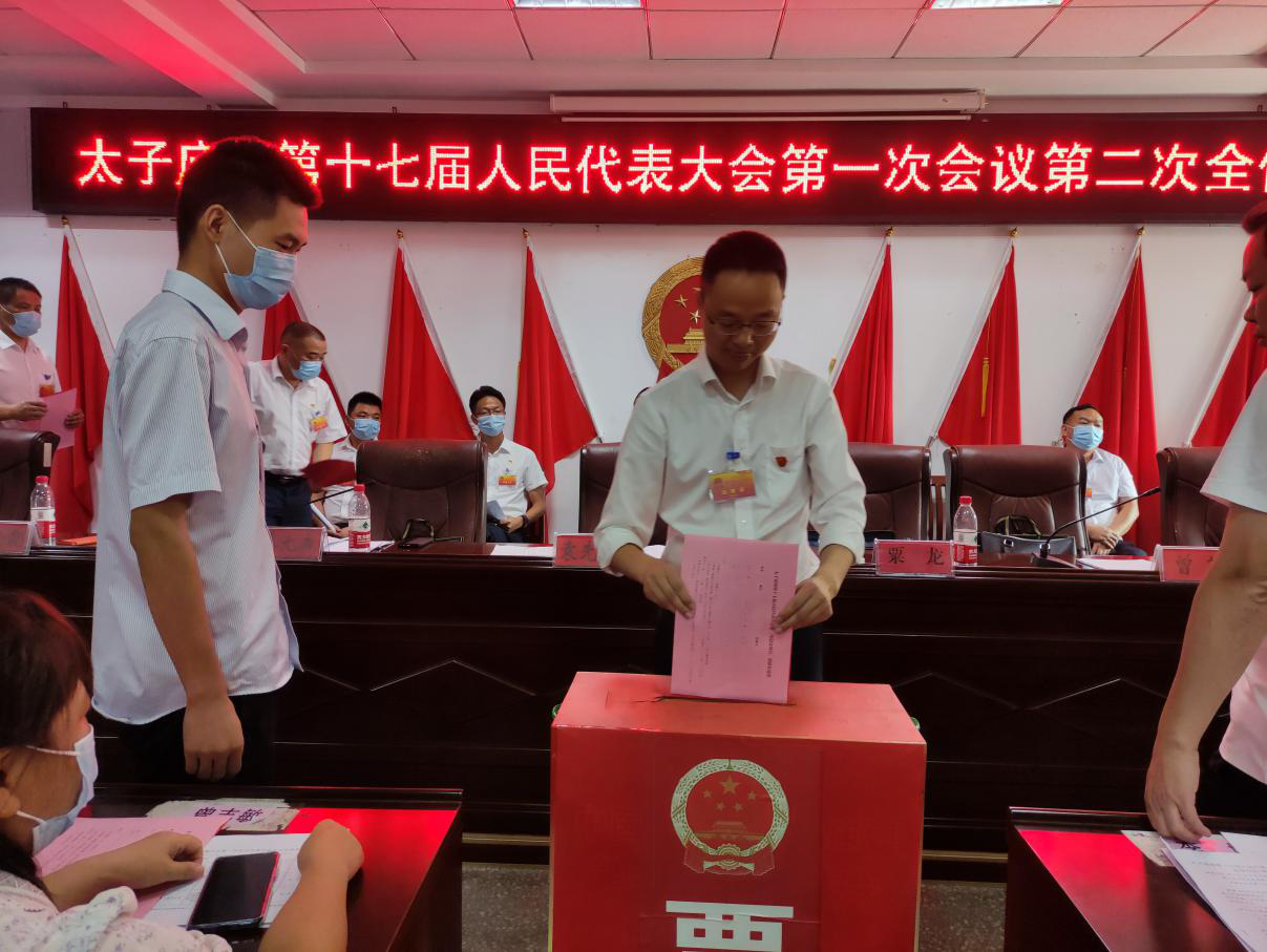 太子庙镇第十七届人民代表大会第一次会议胜利召开