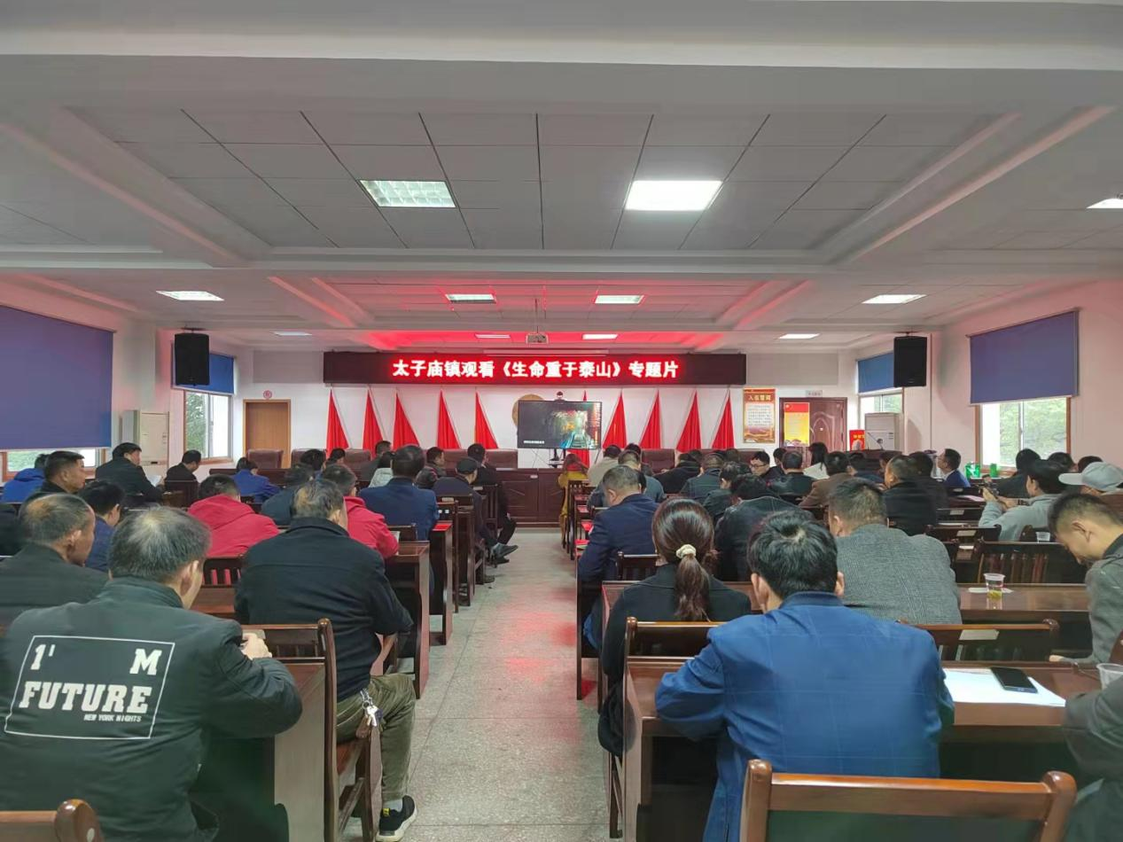 太子庙镇召开新《安全生产法》学习培训暨安全生产工作推进会