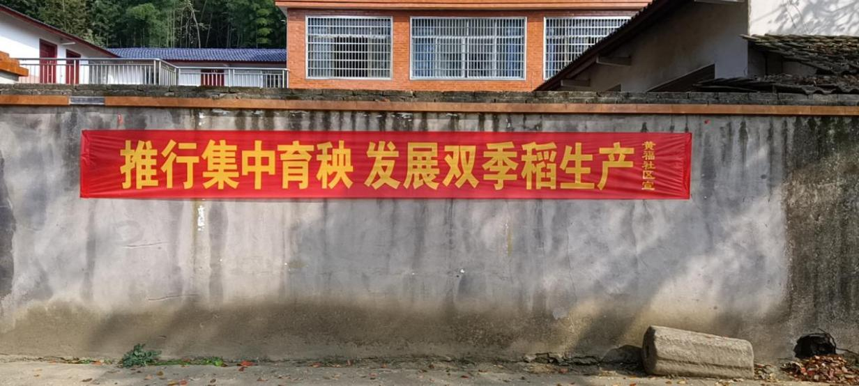 太子庙镇：春耕备耕掀热潮  不负农时不负春