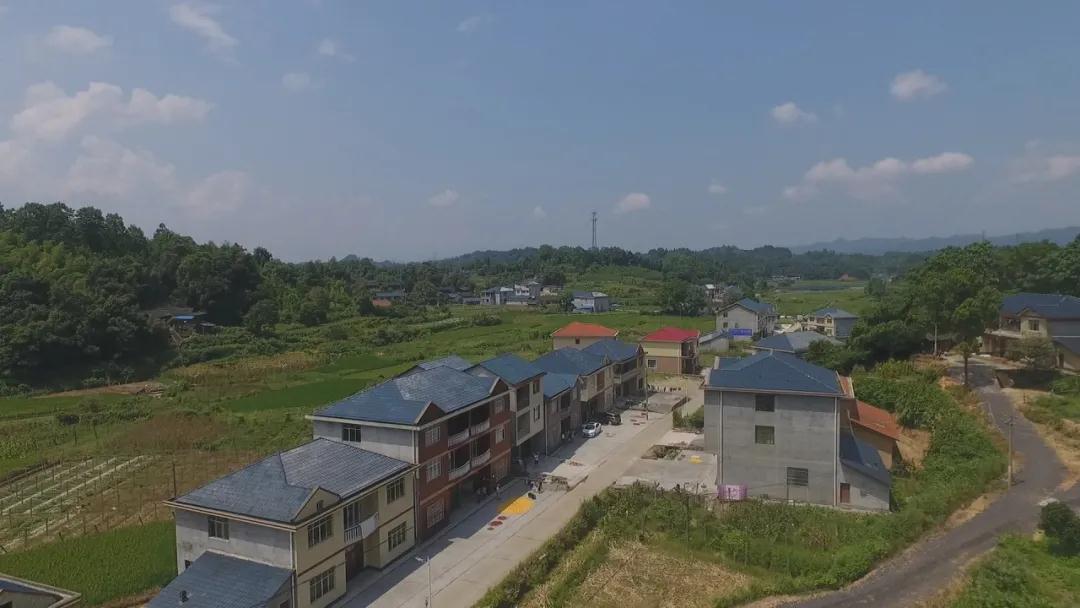 桐木镇黄家湾村：产业发展夯实脱贫致富路