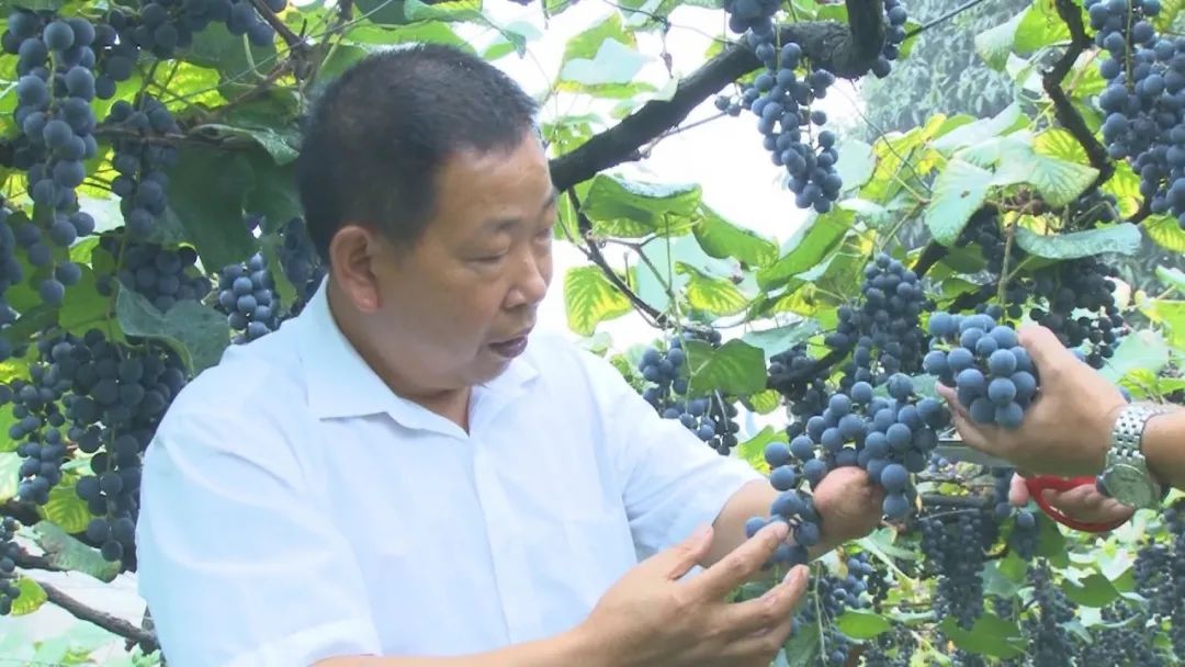 走向我们的小康生活|向往：只手撑起“半界梦”