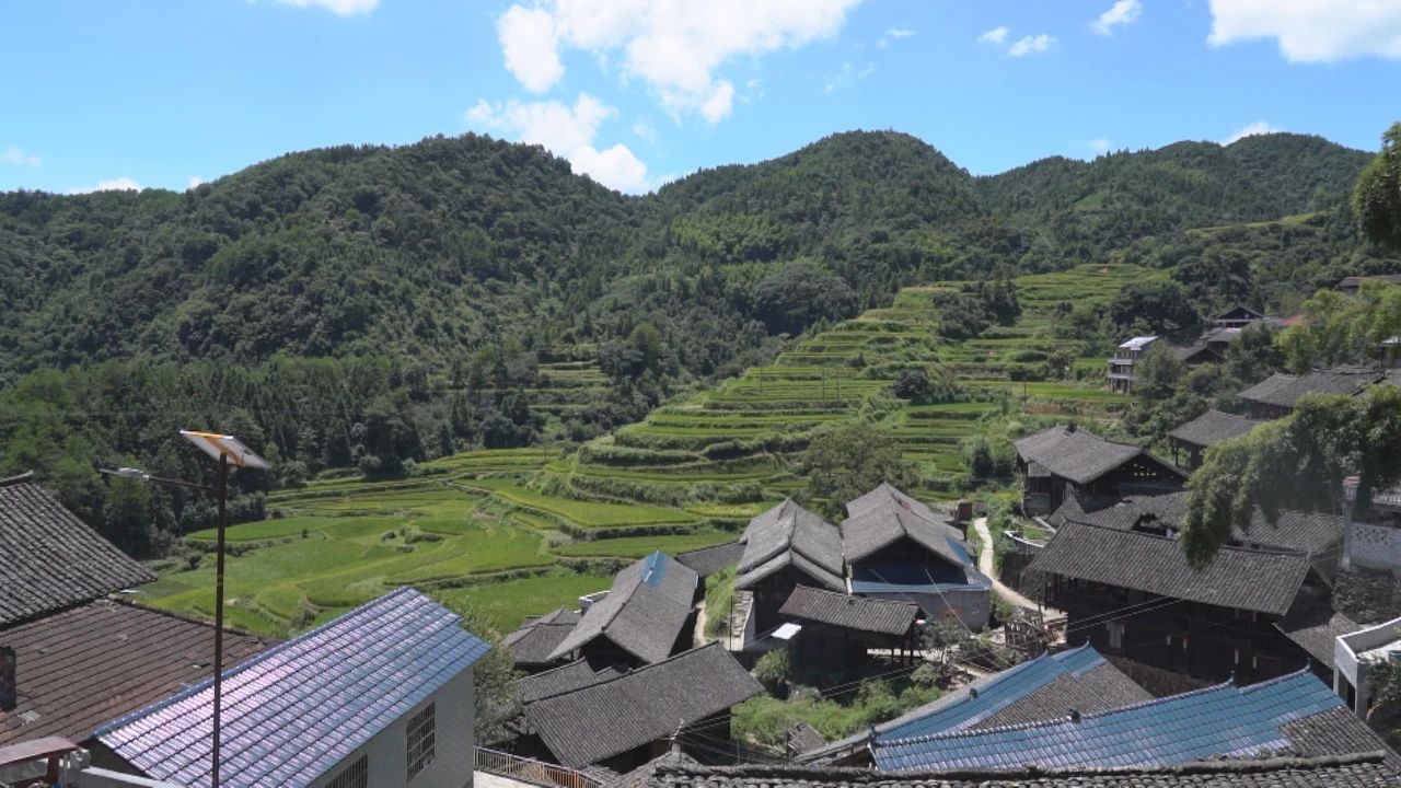 决胜决胜脱贫攻坚| 中方：爱心企业捐路灯 照亮村民出行路