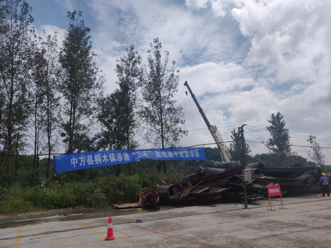 桐木镇：集中整治“三无”船舶，全力保护渔业资源