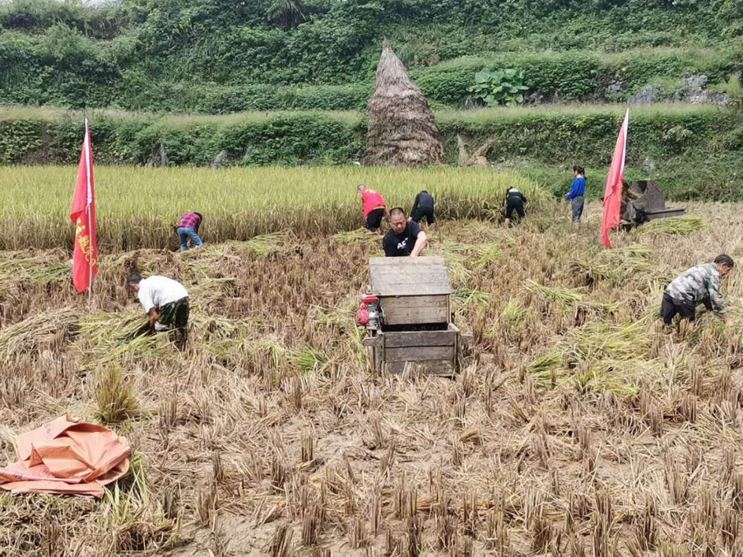 县国库集中支付中心：倾心帮扶抢收忙
