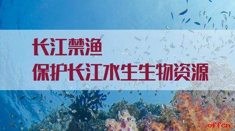 打好打赢禁捕退捕攻坚战