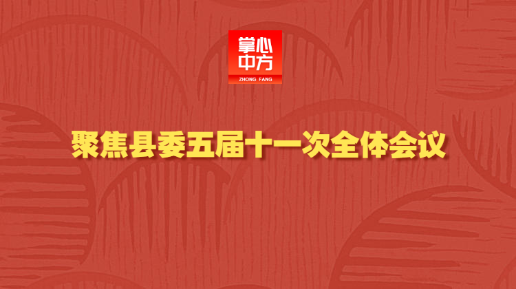 聚焦县委五届十一次全体会议