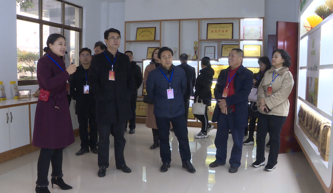 中方县人大常委会组织省市县人大代表集中视察新型工业化发展情况