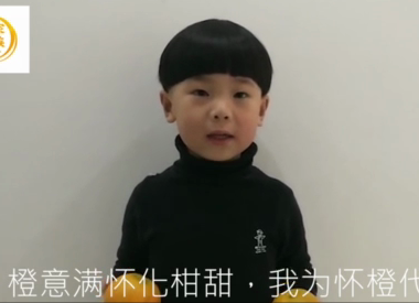 创意|橙意满怀化柑甜，我为怀橙代言