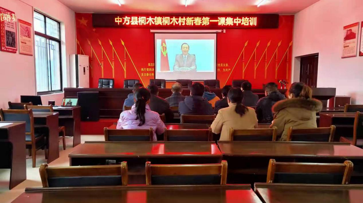 微视频|桐木镇（桐木村、桐坪村、大松坡村）新春第一课集中培训