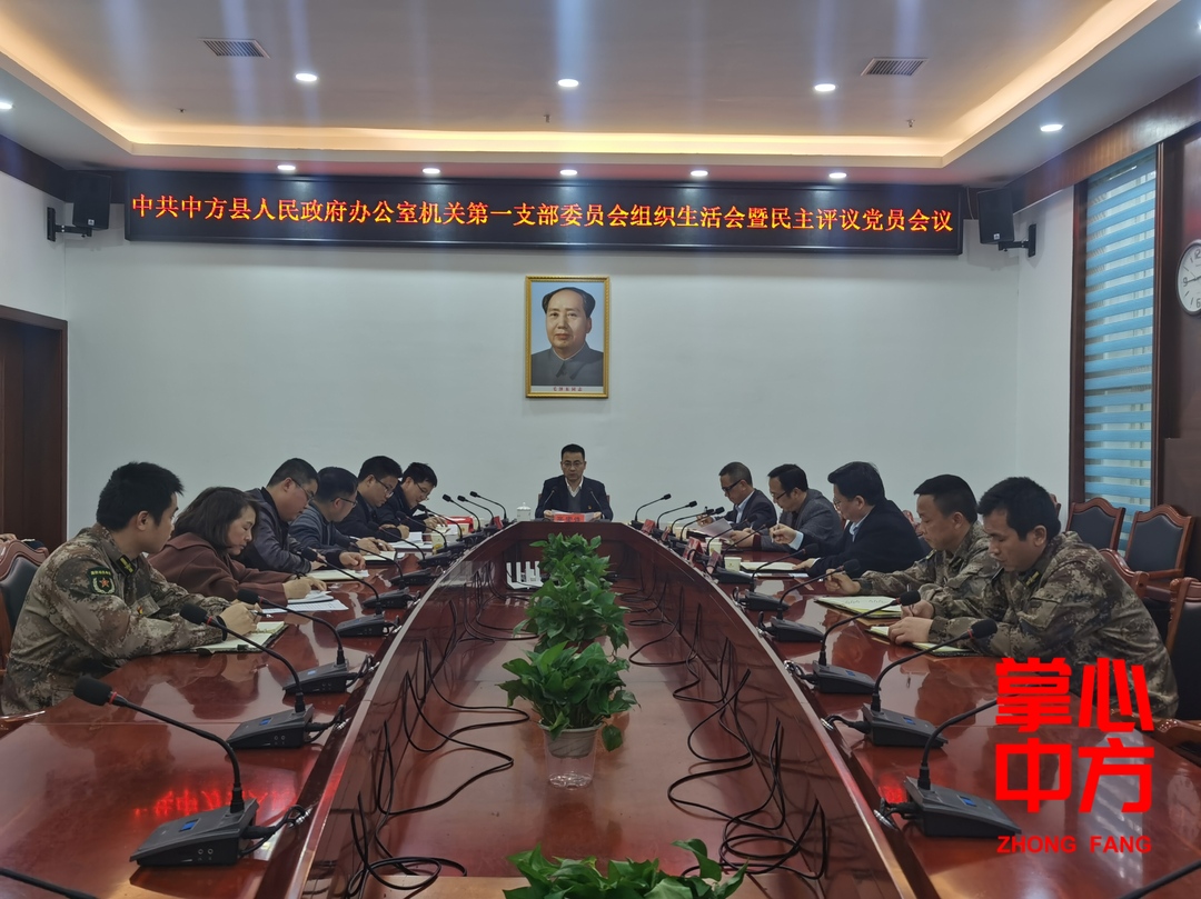 张家铣参加县人民政府办公室机关第一支部委员会组织生活会暨民主评议党员会议