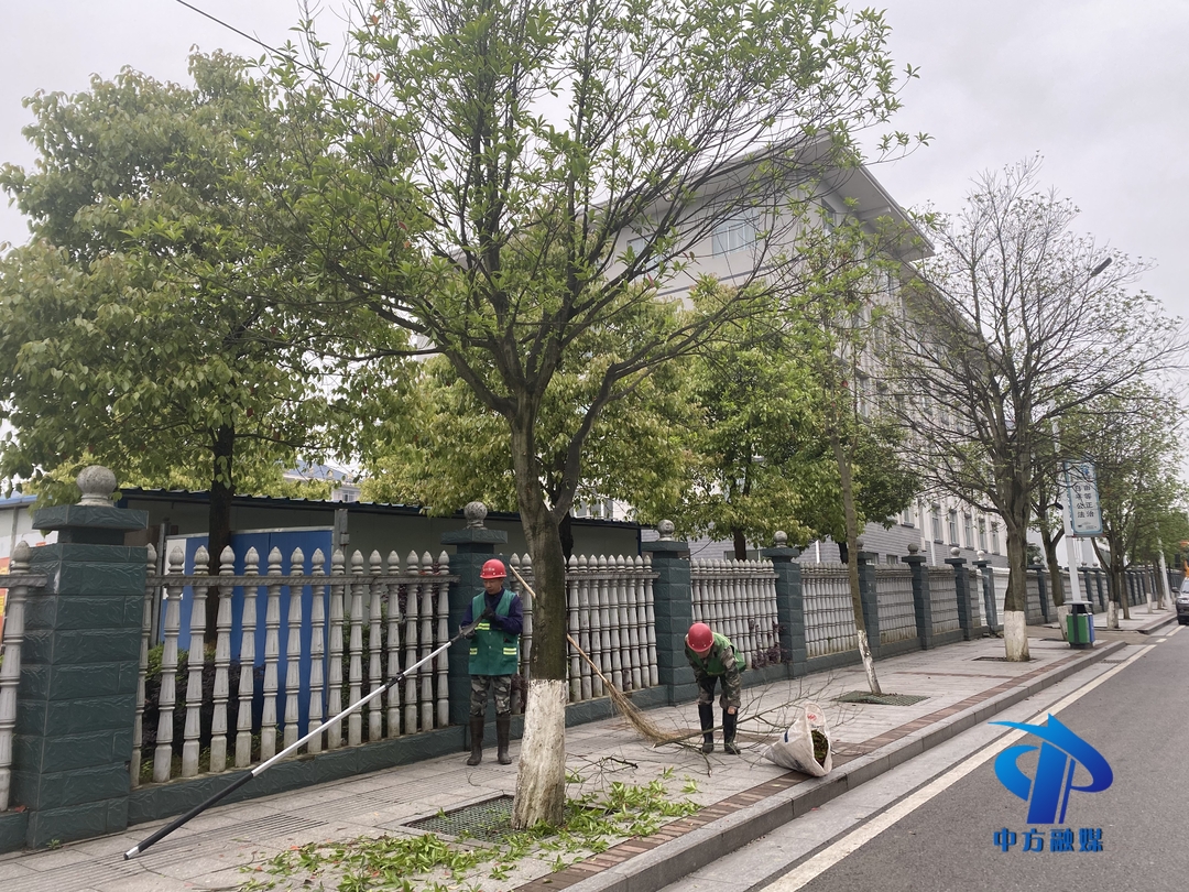 中方县住建局园林处对城区树木进行春季整形修剪