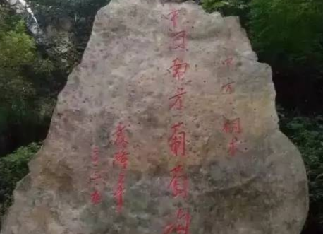 感恩•缅怀，袁隆平的中方情！
