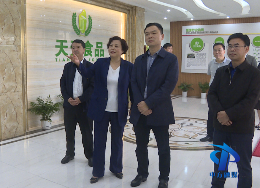 胡杰到县湘商文化科技产业园、中方镇开展调研