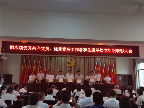 桐木镇召开“两优一先”表彰大会