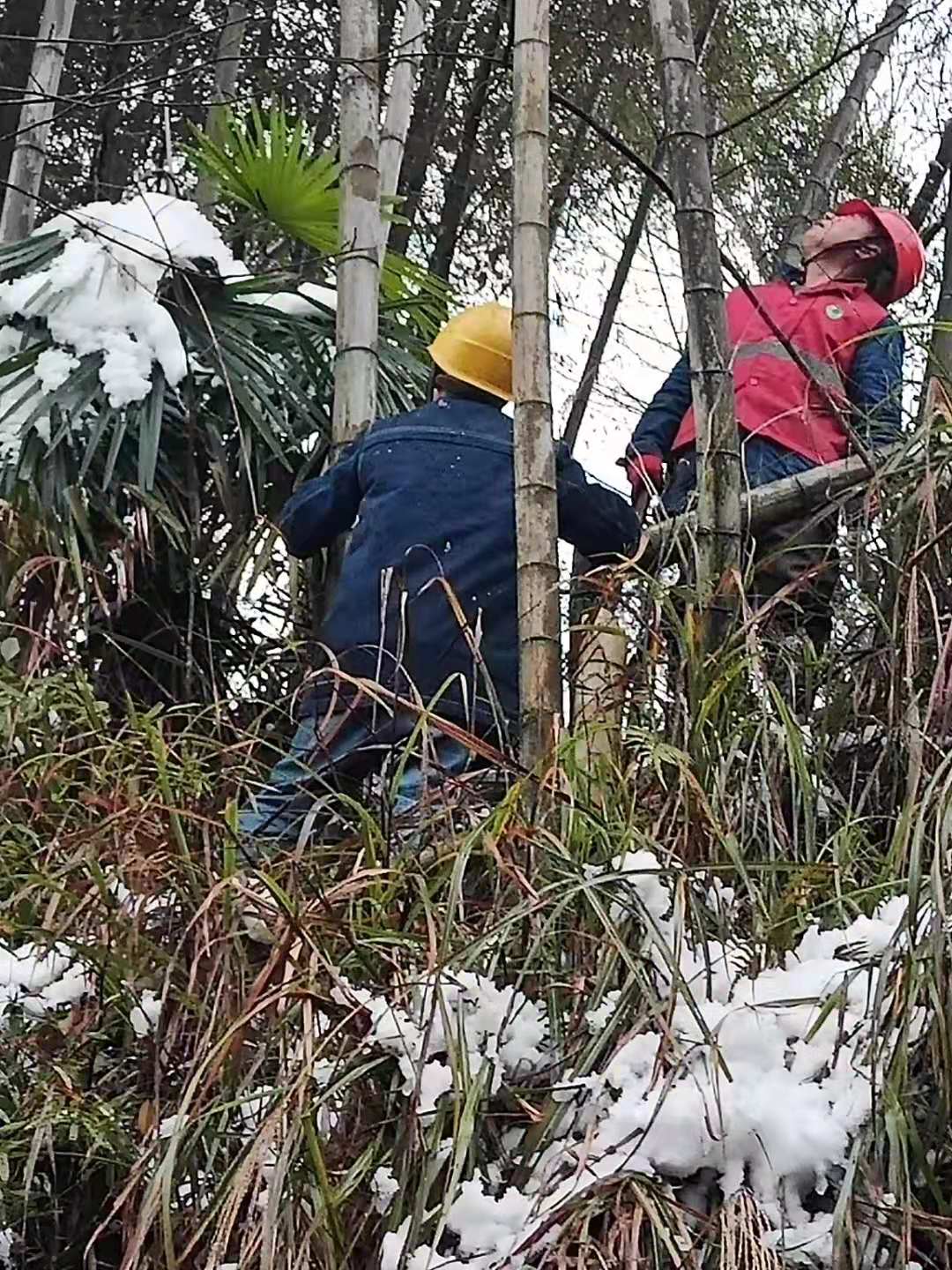国网中方县供电公司：开展特巡  保障元旦可靠用电