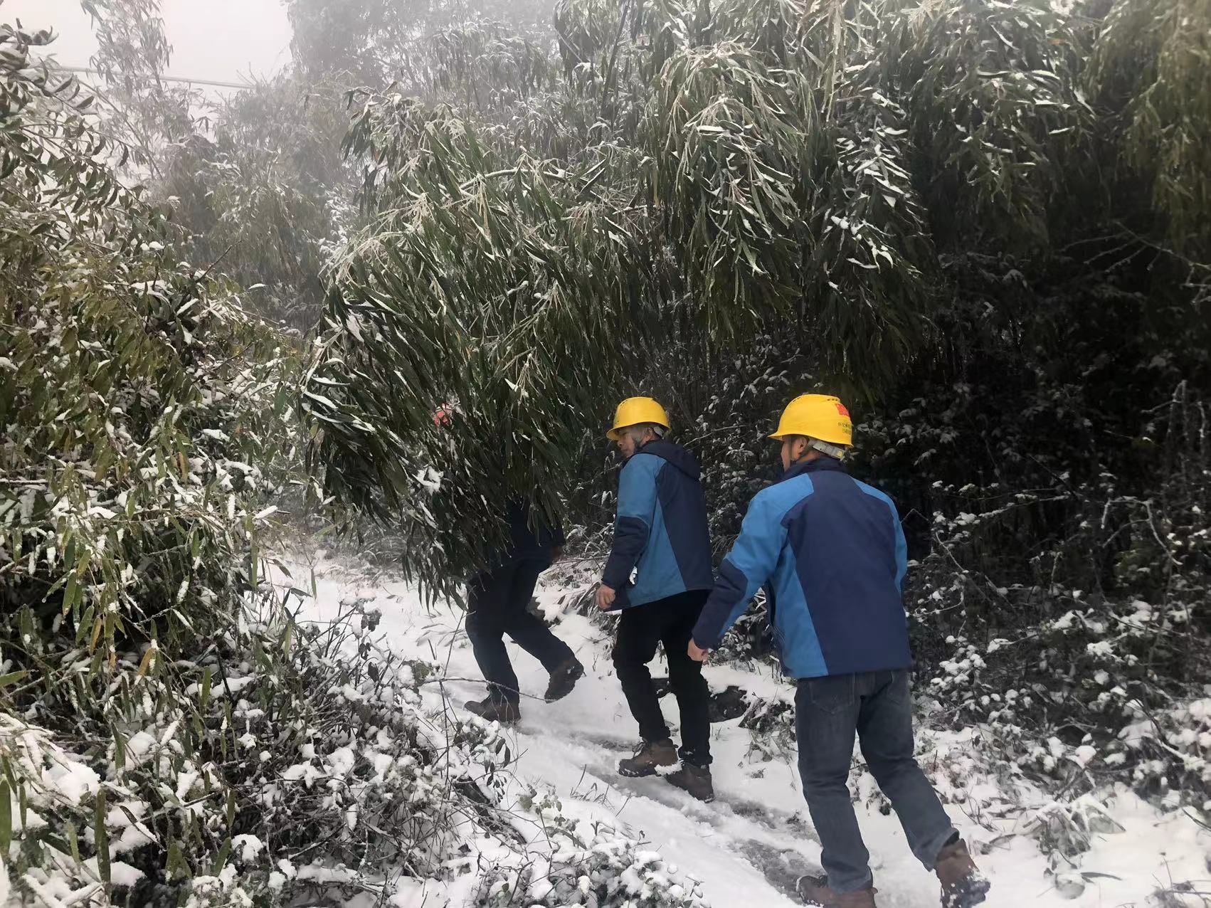 风雪逆行保电人，守卫我们的光和热