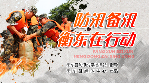 【专栏】防汛备汛，衡东在行动