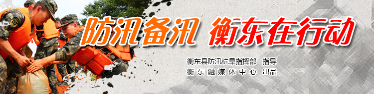 【专栏】防汛备汛，衡东在行动