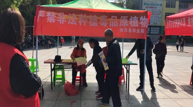 县林业局开展全民国家安全教育日普法宣传活动