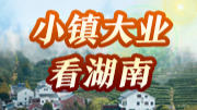 小镇大业看湖南丨古色古香 美成“网红”——永顺县芙蓉镇见闻