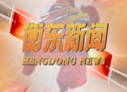 《衡东新闻》2020.05.5（星期二）