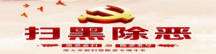 重拳出击 扫黑除恶