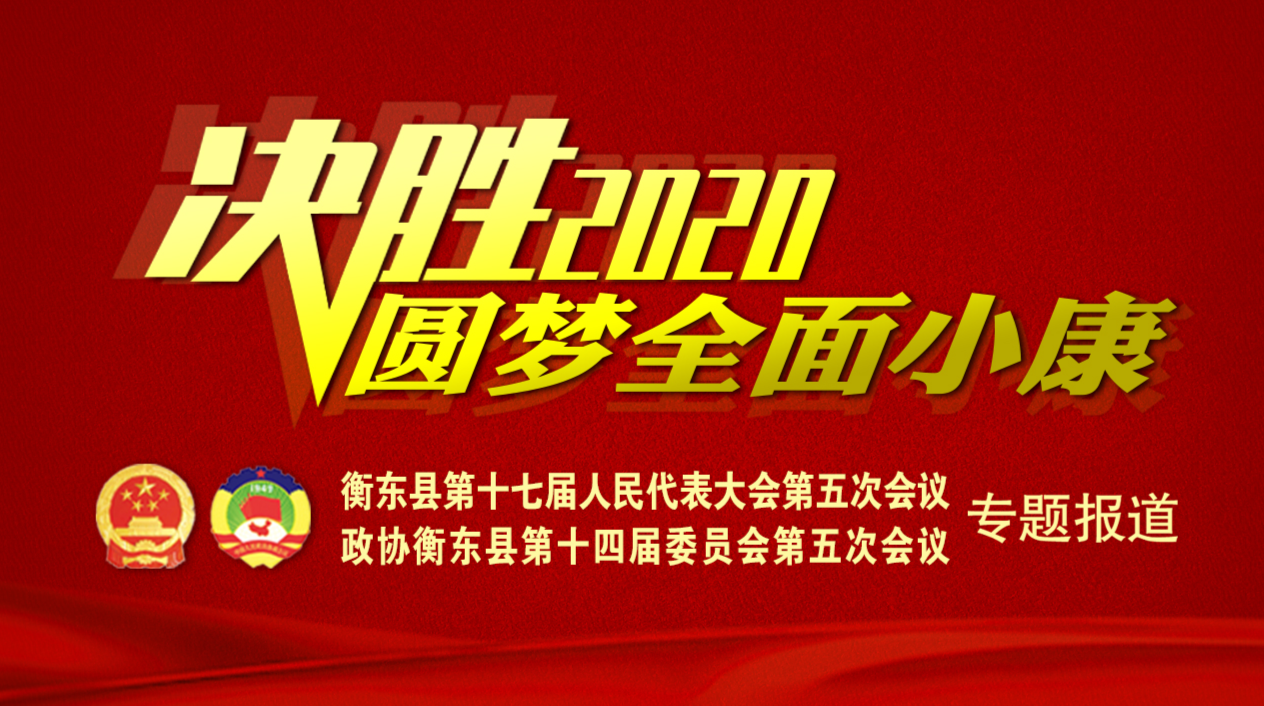 【专栏】决胜2020 圆梦全面小康--两会专题报道