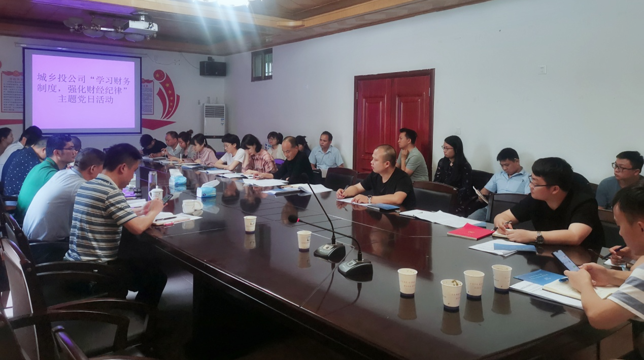 县城乡投开展企业财务管理培训主题党日活动
