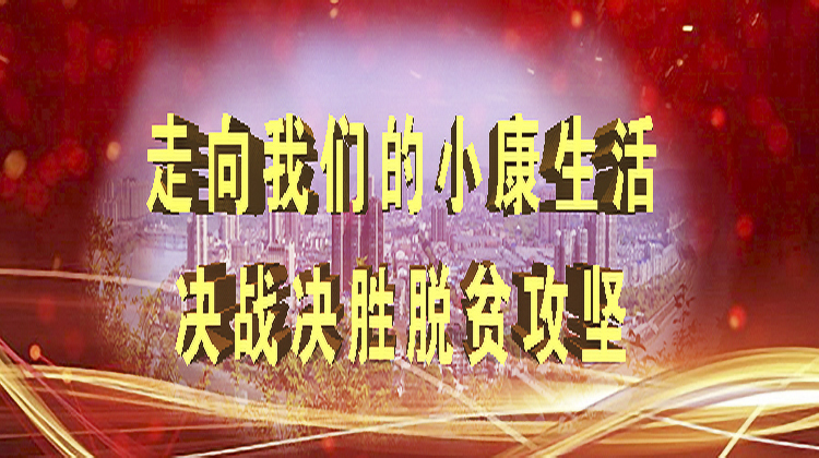 走向我们的小康生活