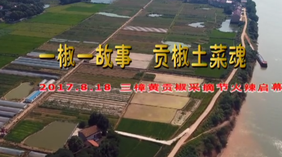 【视频】《黄贡椒》