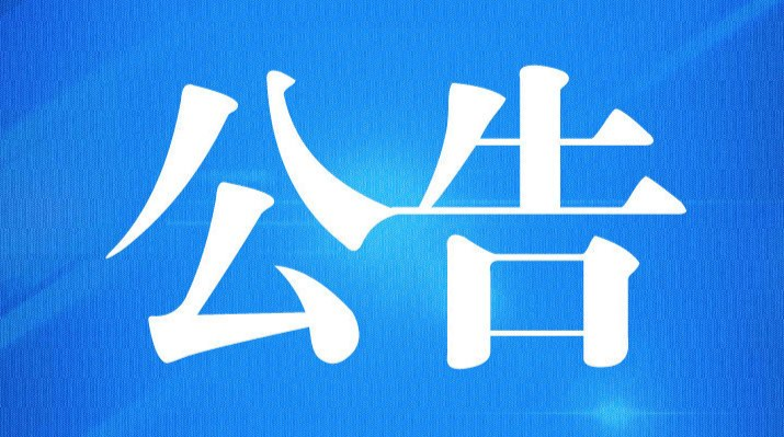 衡东县2020年公开招聘教师及其他专业技术人员补充公告（一）