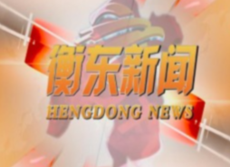 《衡东新闻》2021.1.8（星期五）