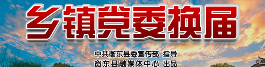 【专栏】乡镇党委换届