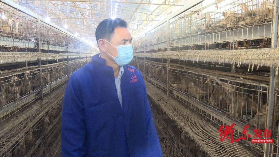 衡阳衡东阳国清：乡村振兴引路人