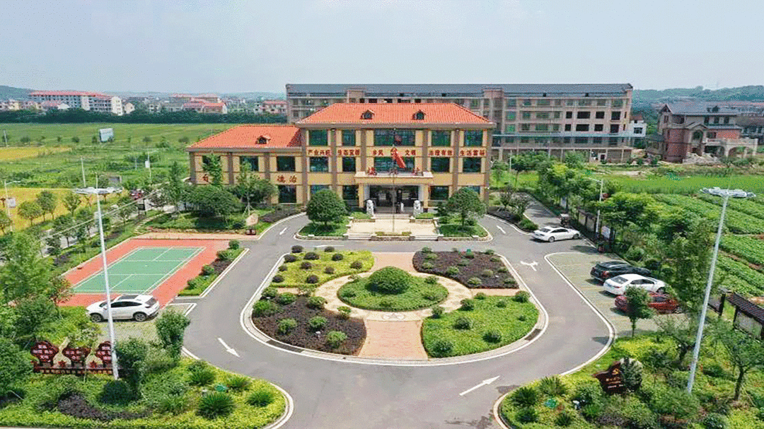 西渡镇乡村振兴有亮点砥砺奋进新时代