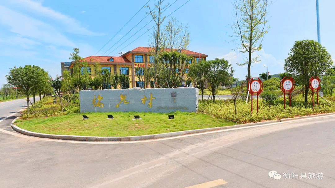 西渡镇:乡村振兴有亮点,砥砺奋进新时代