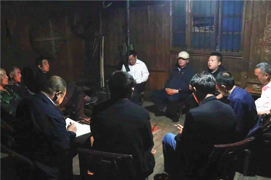 山村夜话青钱柳