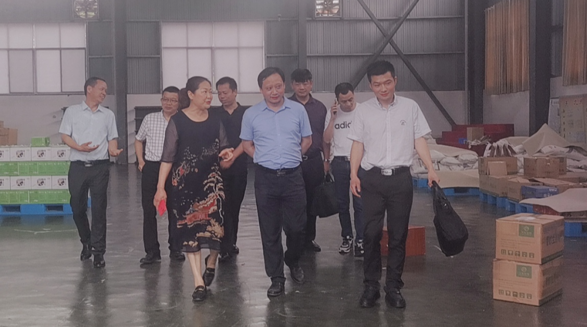 孙民生来桑调研侨资企业复工复产工作