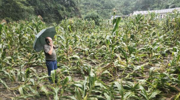 河口乡：不惧风雨 闻“汛”而动