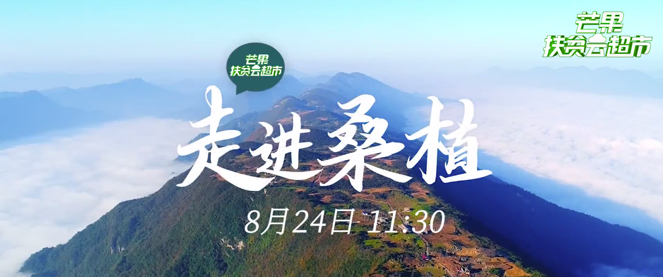 芒果扶贫云超市 为你带来这些桑植好货！