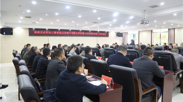 赵云海：扎实推进农村乱占耕地建房专项整治工作