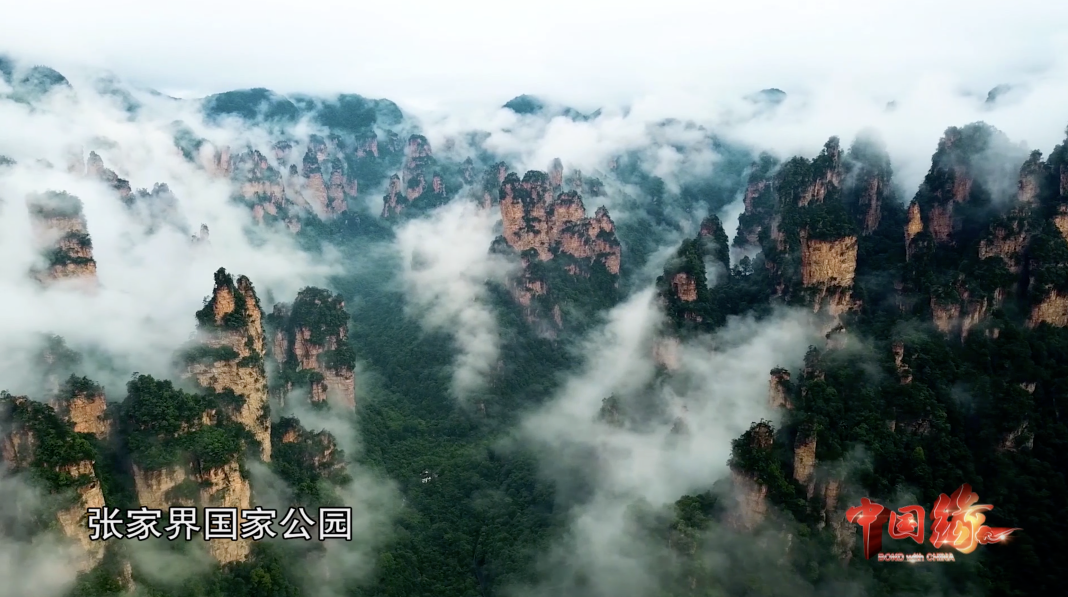 这支来自乌克兰的交响乐团，因为一个原因集体留在了张家界