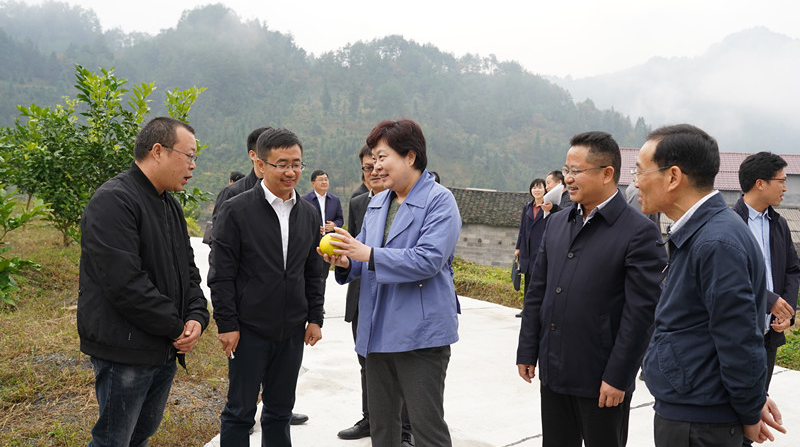 中央纪委国家监委驻国家市场监管总局纪检监察组来桑植县调研