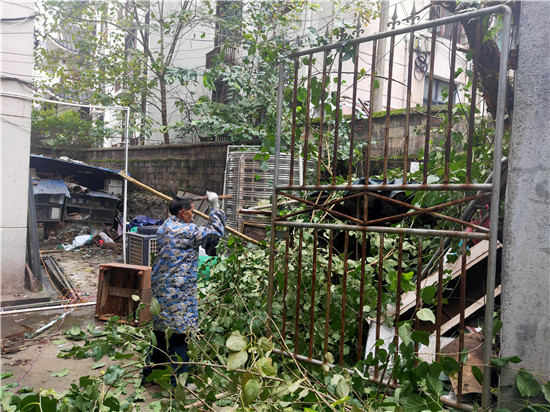 【城市是我家】文明路社区：推进小区换颜 共建卫生城市
