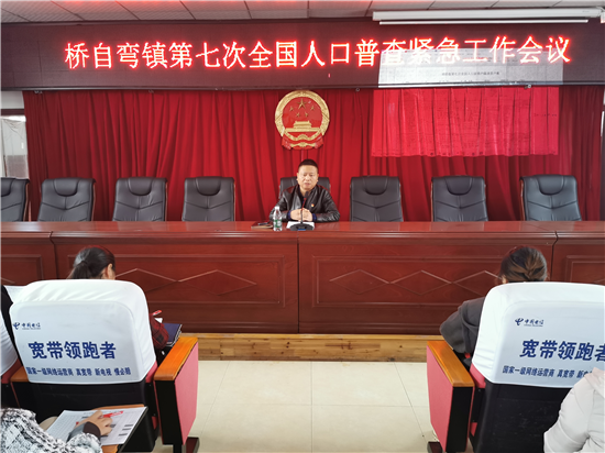 【人口普查】桥自弯镇多维发力稳步推进人口普查工作