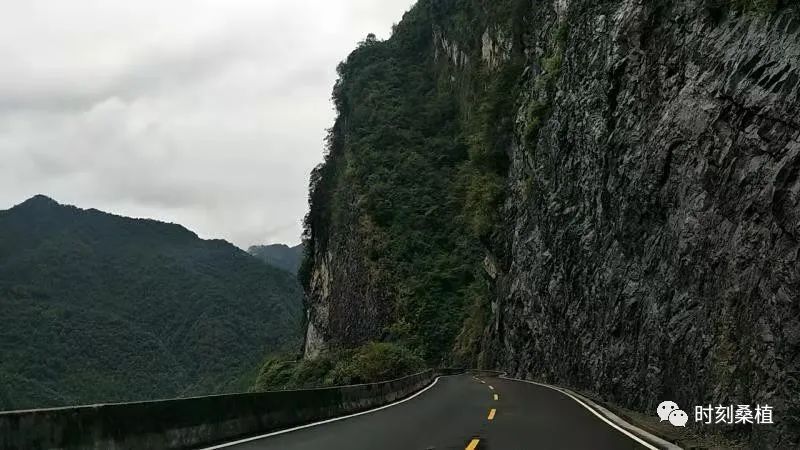 桑植县公路建设养护中心获评全省公路防汛保通先进单位