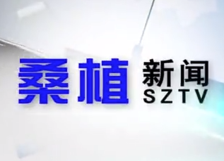 2020年11月20日桑植新闻