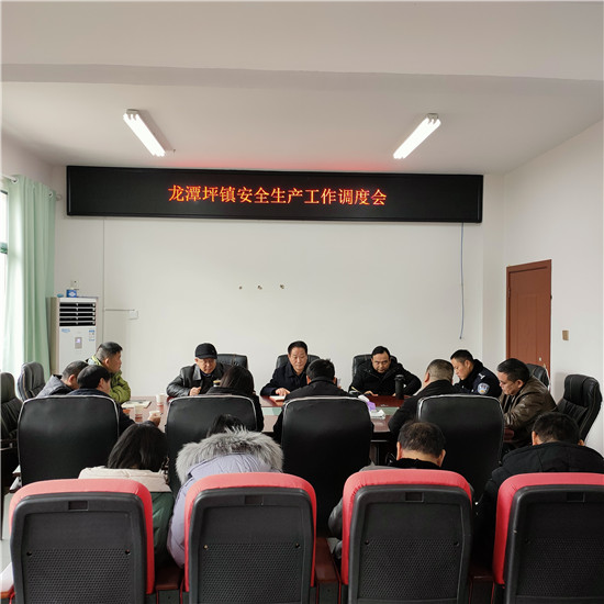 熊正元到龙潭坪镇督导安全生产工作
