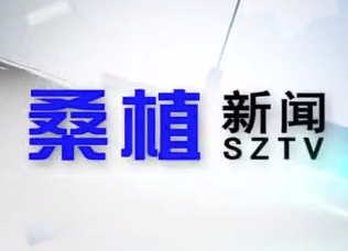 2021年1月1日桑植新闻